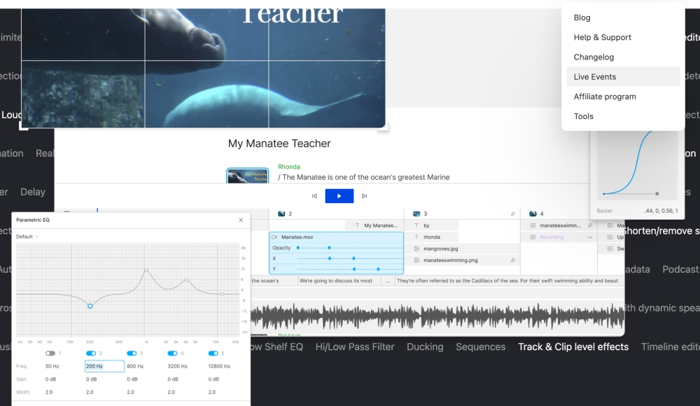 Descript ai video and audio edting tool