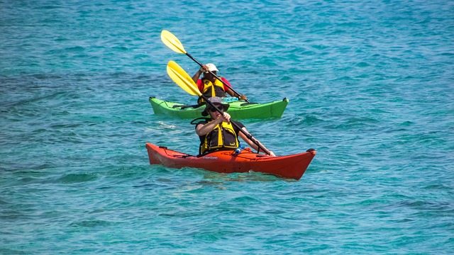 canoe kayak, sport, kayaking, clam pass park, corkscrew swamp sanctuary,