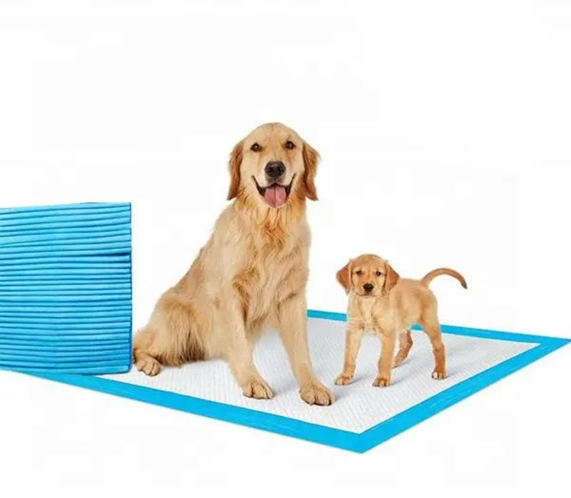 Disposable puppy training pads best sale