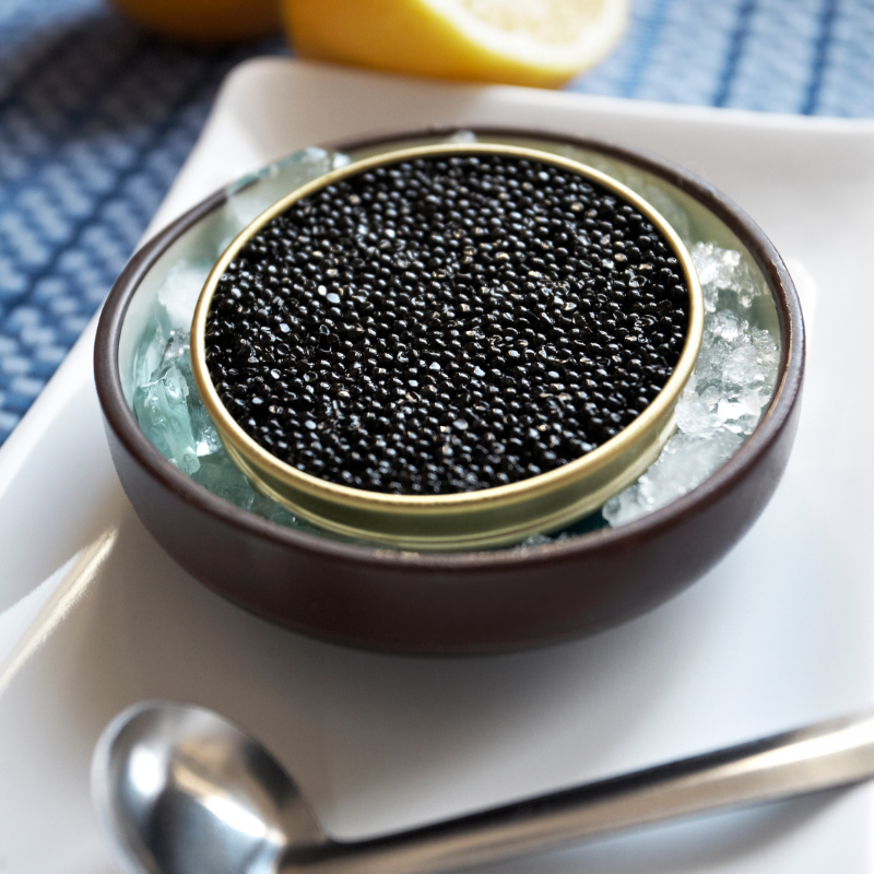 Image showcasing the classic choice of beluga caviar from the beluga sturgeon.