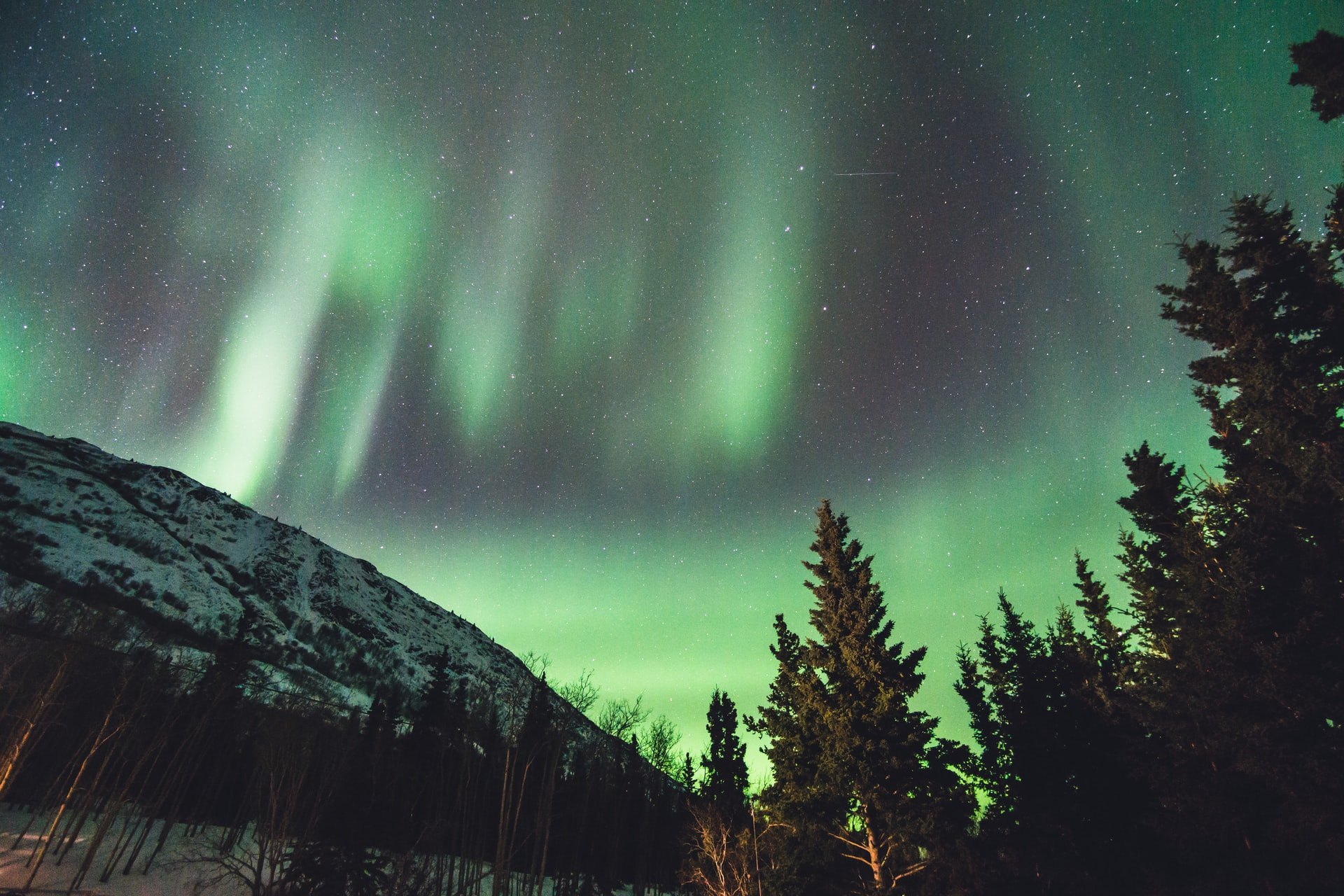 A view of green Northern Lights in the sky above trees and mountains in Yukon.