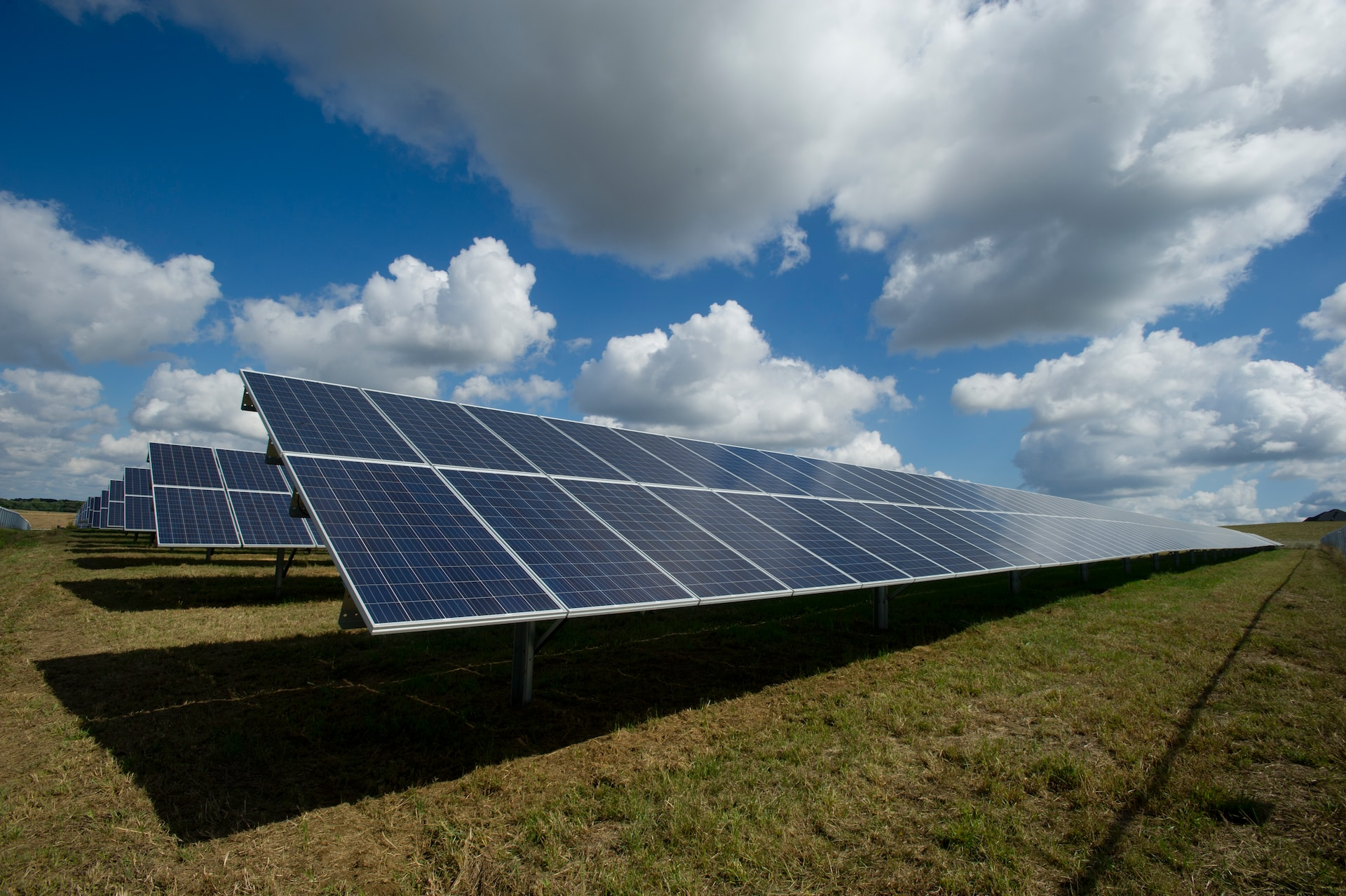 Solar panels mounted in a field.