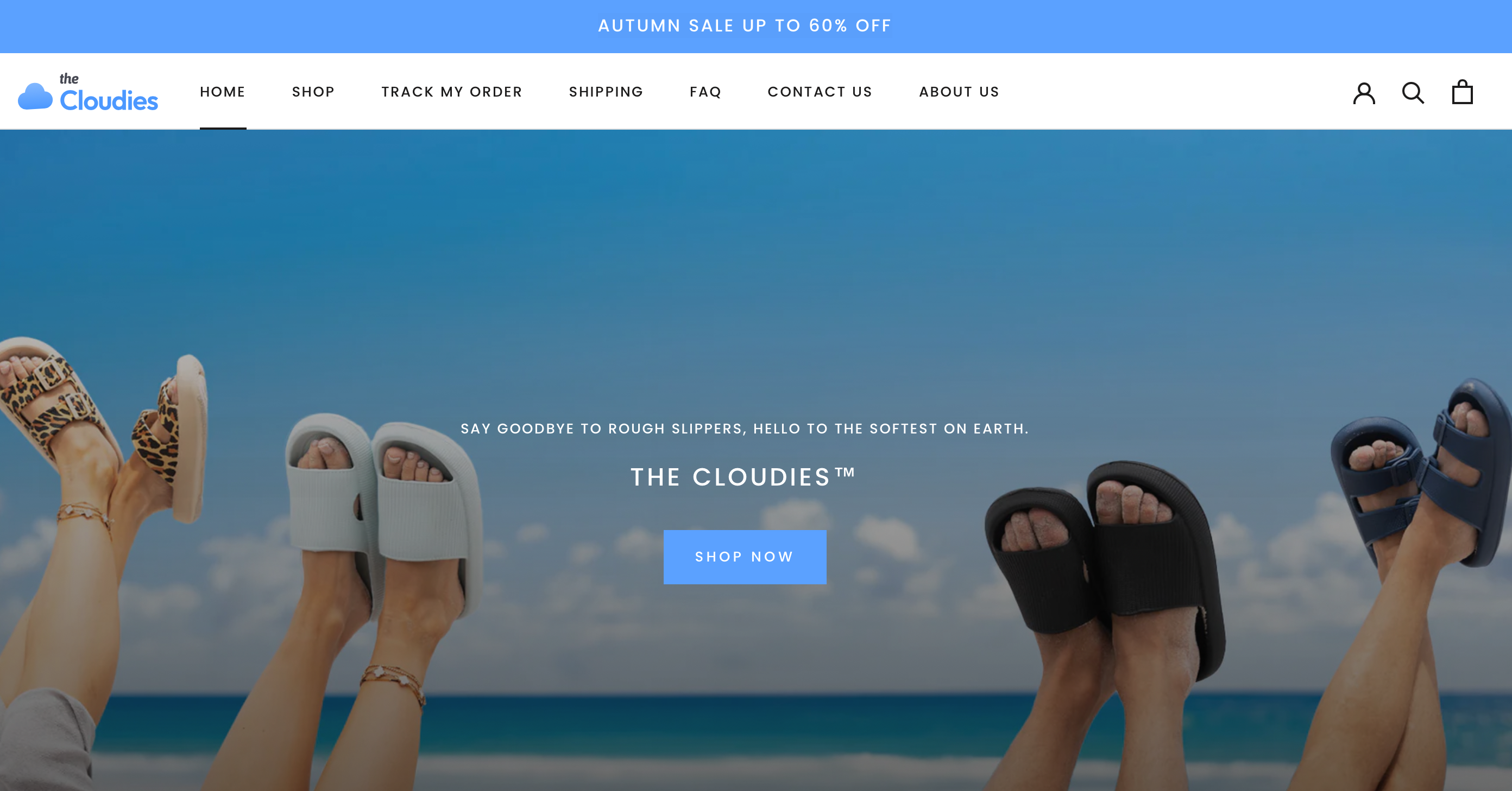 dropshipping stores - cloudies 