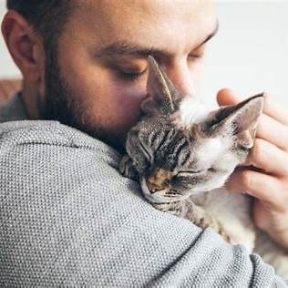 Baasje kust zijn verdrietige kat op de kop