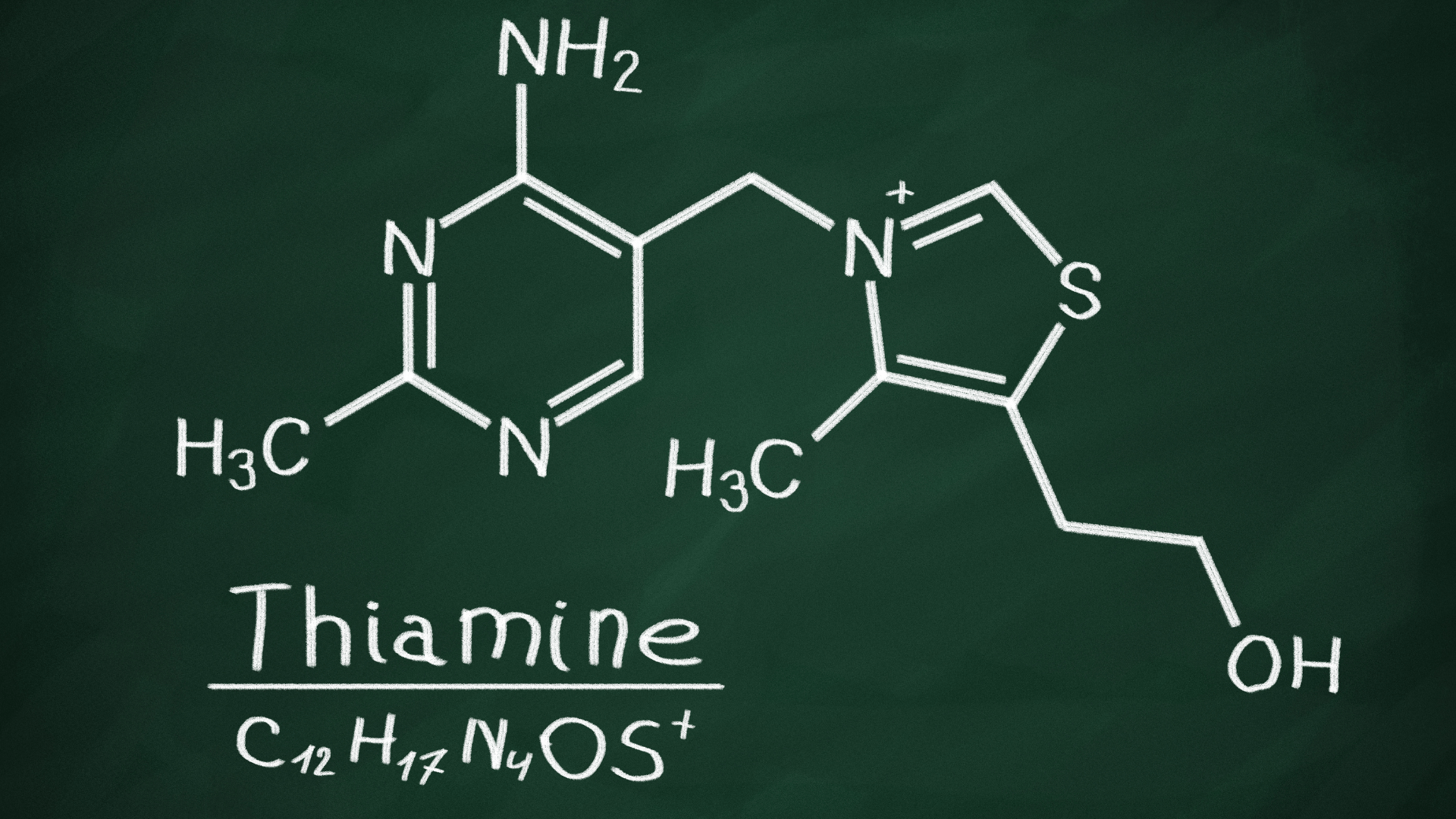 Vitamin b1 for dogs