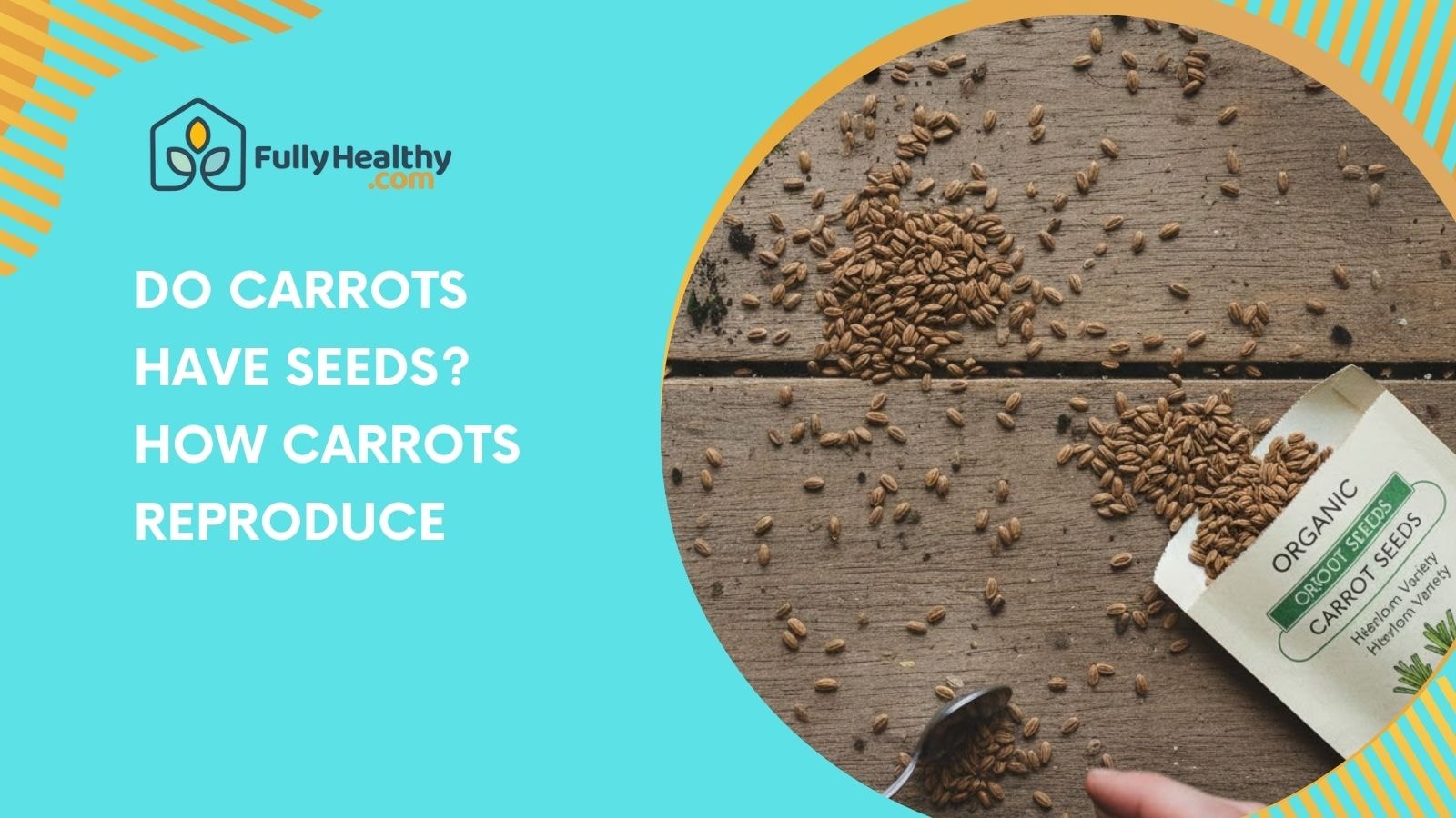 Do Carrots Have Seeds? How Carrots Reproduce