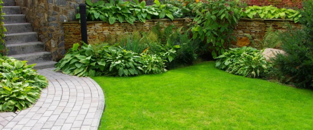 Landscaping Companies in Cypress