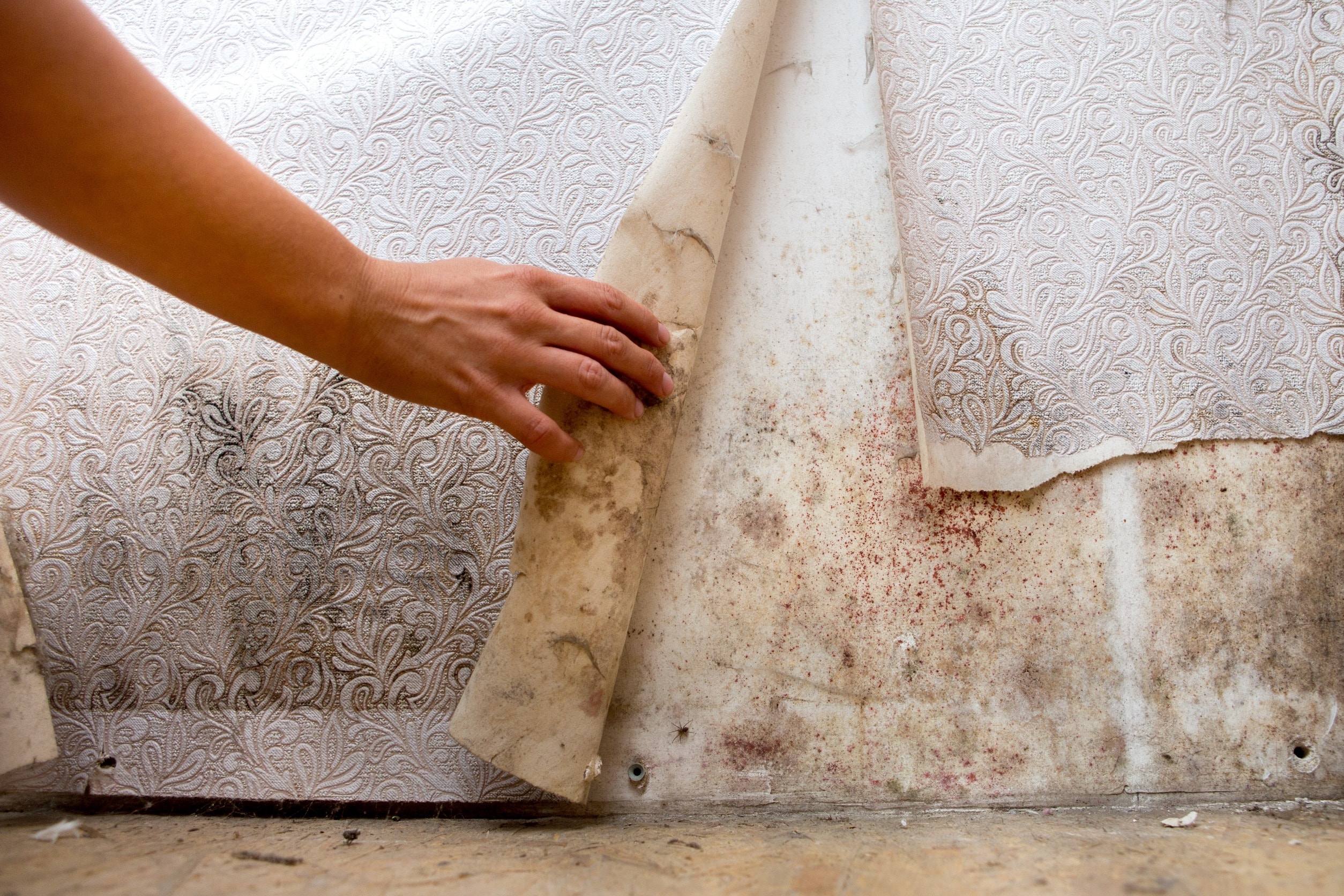 A woman peels back damp wallpaper