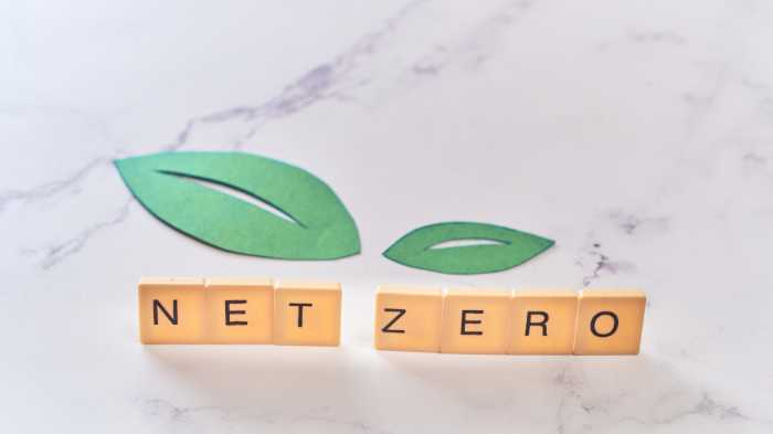 Carbon Neutral vs Net Zero