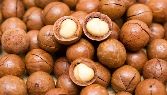  Macadamia Nuts