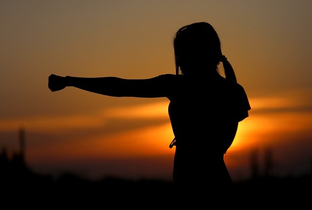 karate, sunset, fight, nature, sports, silhouette, resistance, samurai, fit, girl, self-defense, defense, fist, brown sunset, brown sports