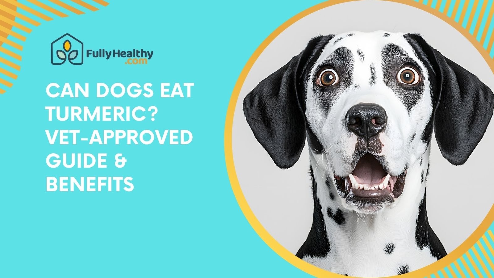 Can Dogs Eat Turmeric? Vet-Approved Guide & Benefits