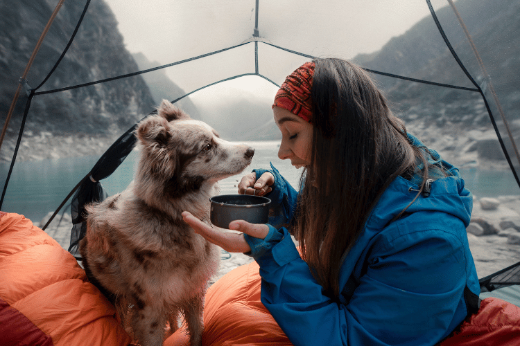 A person camping with their dog in a spacious tent