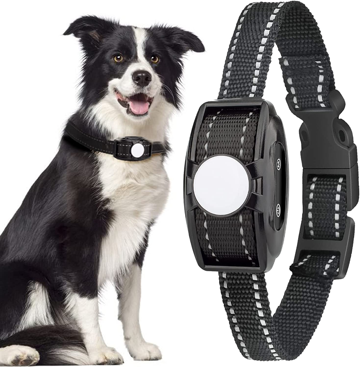 Best Vibrating Dog Collars