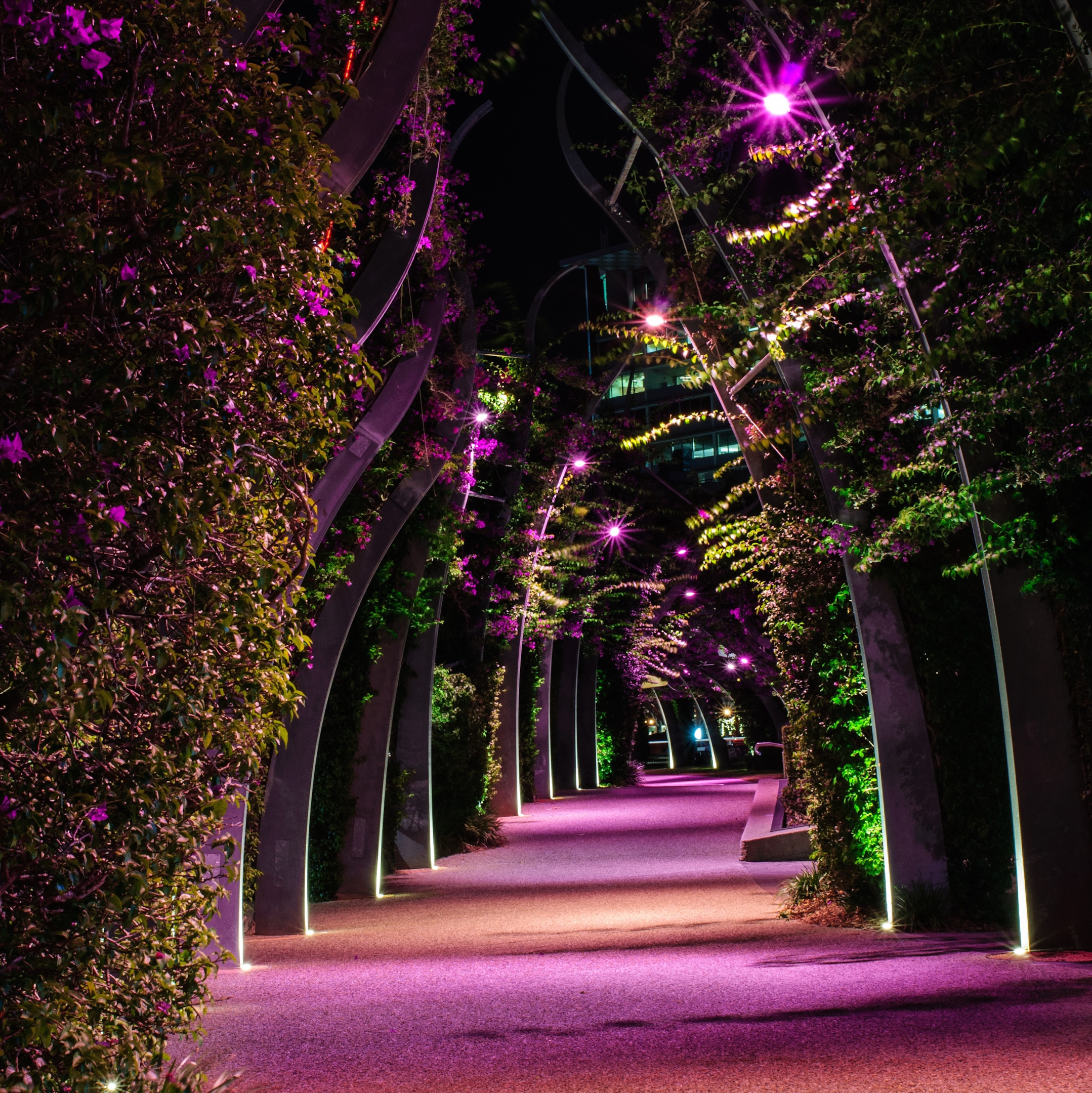How to Choose the Best Pathway Lights Banner - pxhere