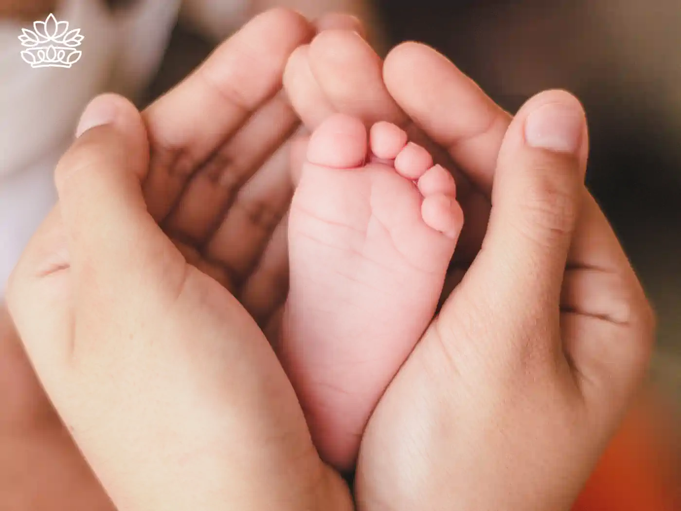 Newborn baby's foot cradled in adult hands. Fabulous Flowers and Gifts Newborn Baby collection.