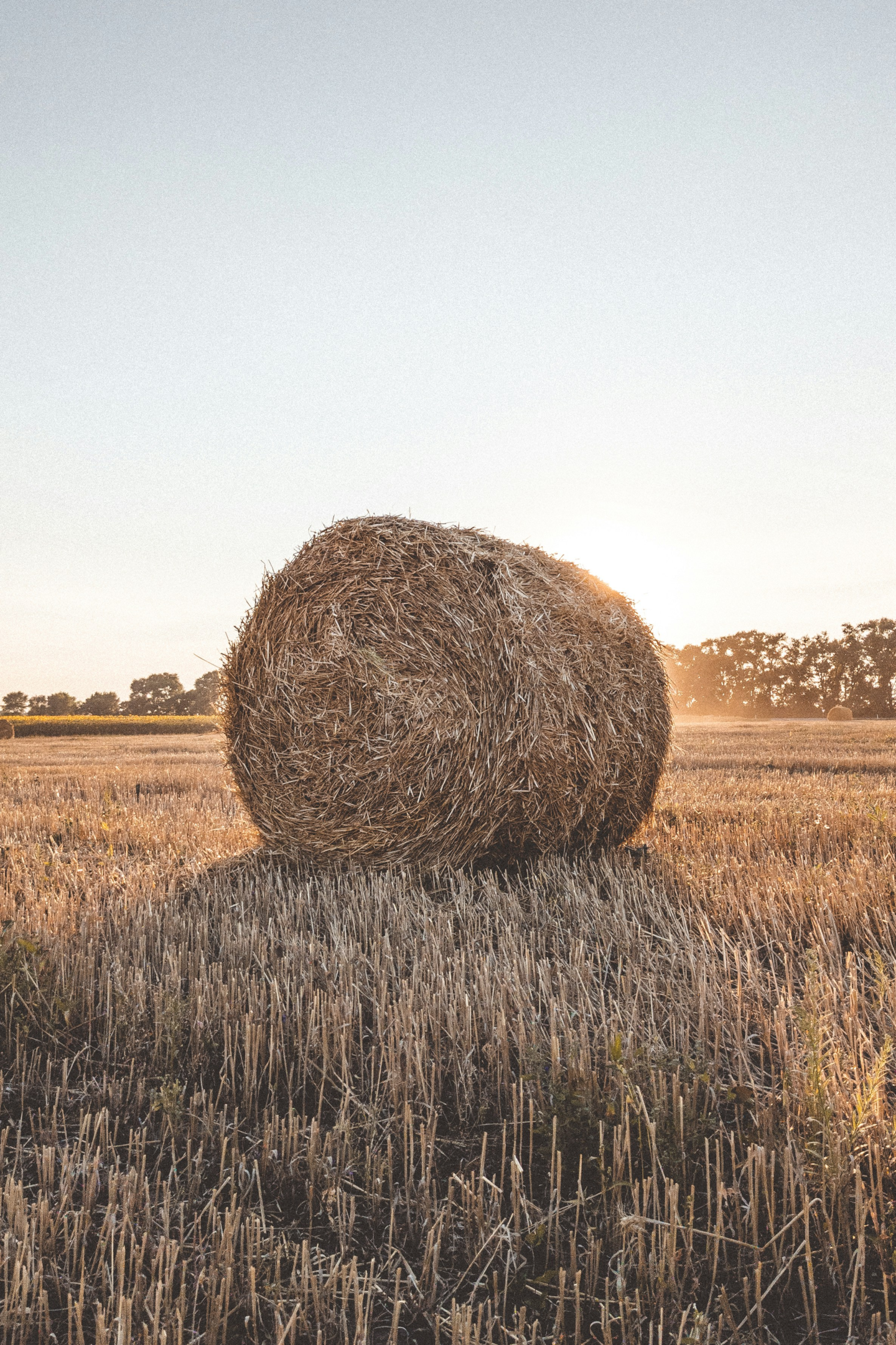 Without the work of SEO, expecting people to find you on the internet can be like expecting someone to find a needle in a haystack. Instead, use tools like Google search console to track your SEO progress.