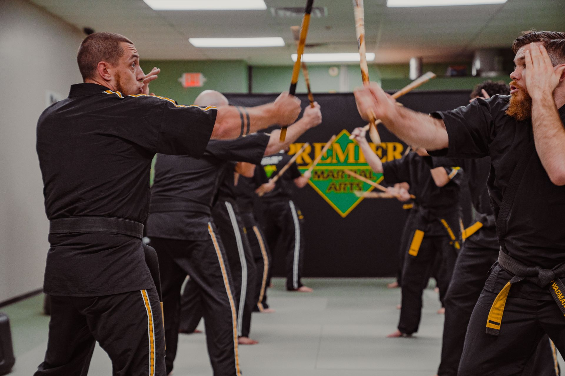 The Essence of Martial Arts: History, Types, and Benefits