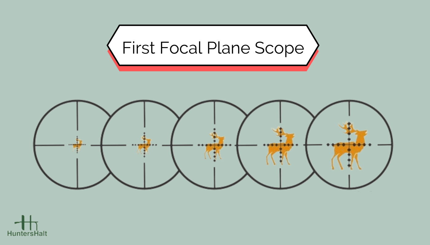 picture of a first focal plane scope with reticle on deer