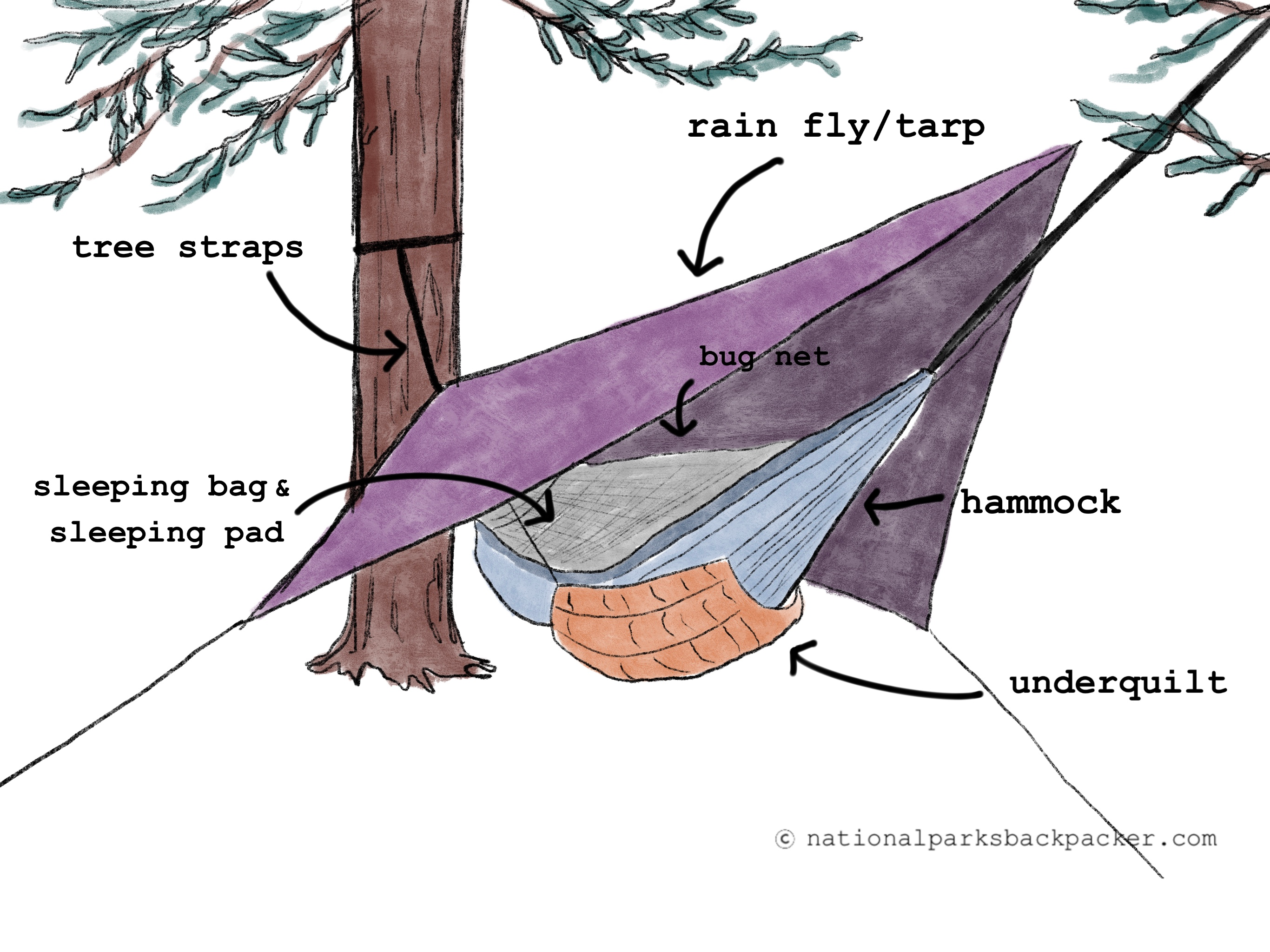 visual guide for hammock camping setup and items