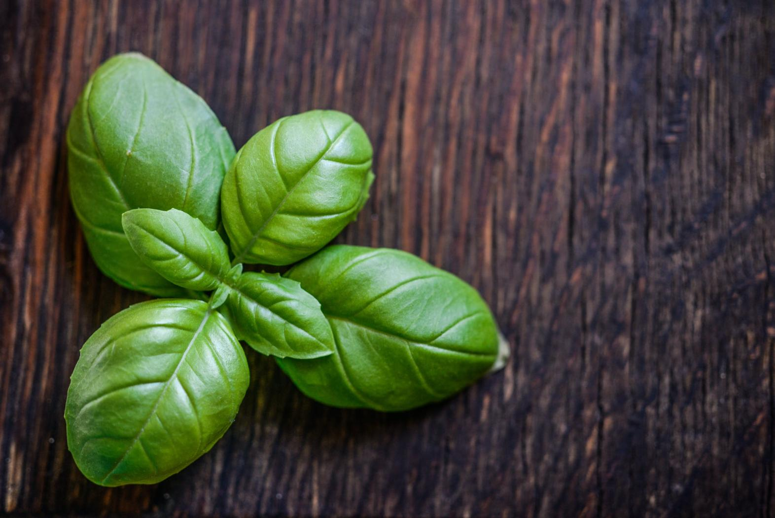 Basil, Infused Water