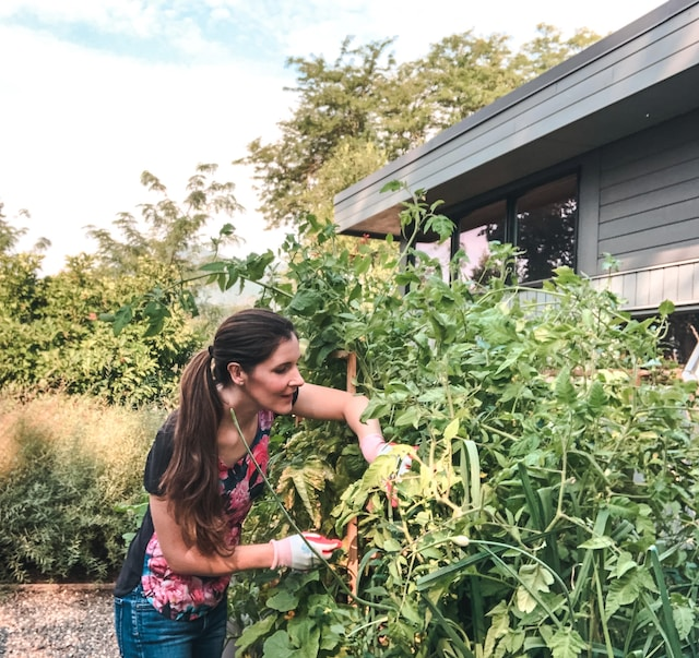 Comparing gardening as one of many ways to cultivate self-love. Practicing self love takes many forms.