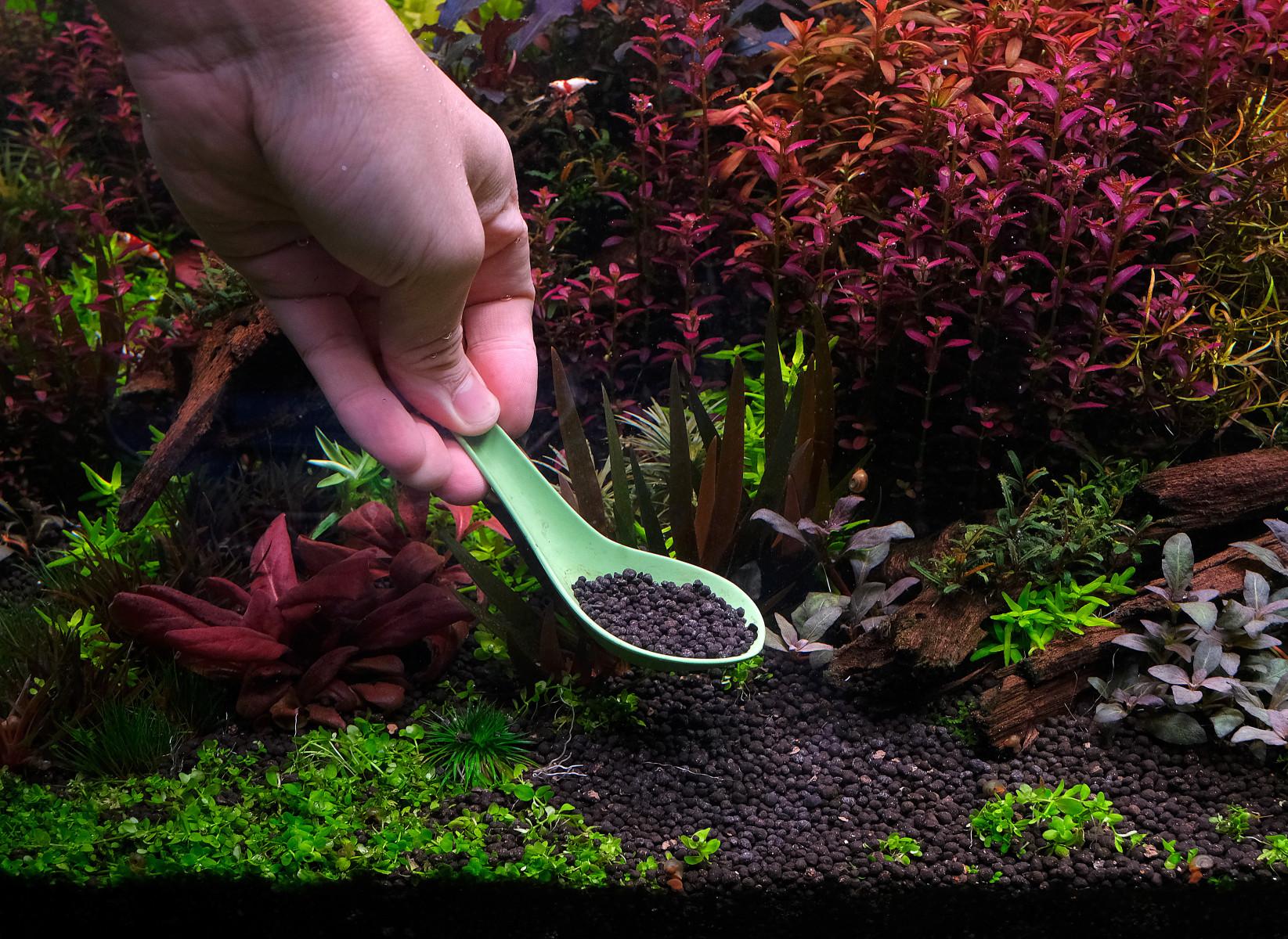 Hand holding a spoon filled with aquasoil granules inside an aquarium, against colorful plants.