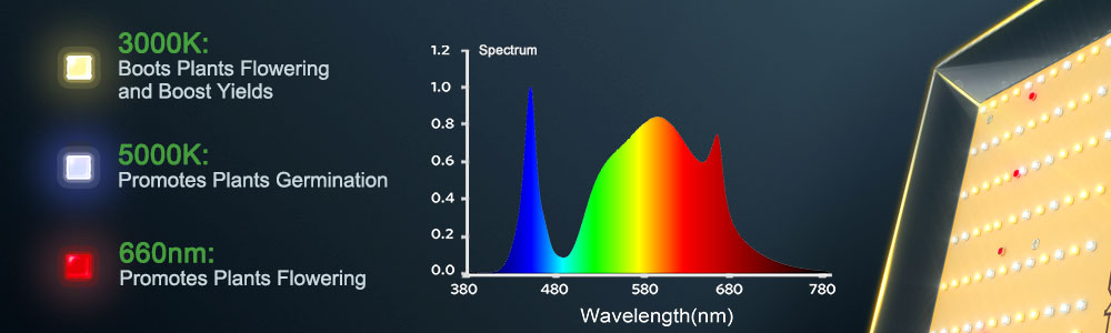 Full spectrum led grow lights' spectra design with blue, red, and deep red leds led light