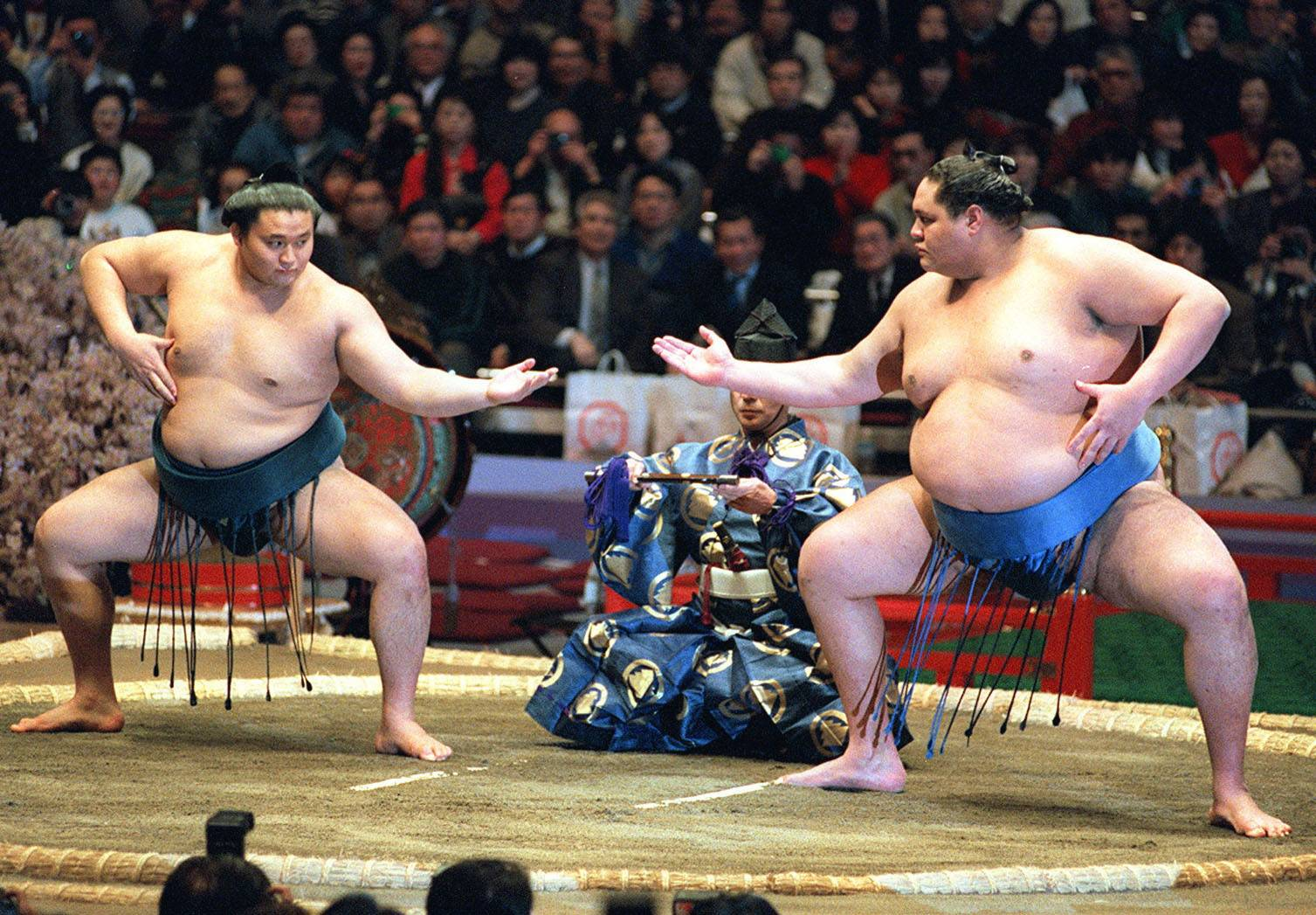 Sumo Wrestling