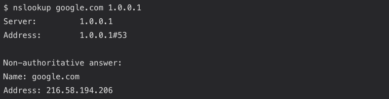 Same nslookup command but this time with a DNS server passed as argument.