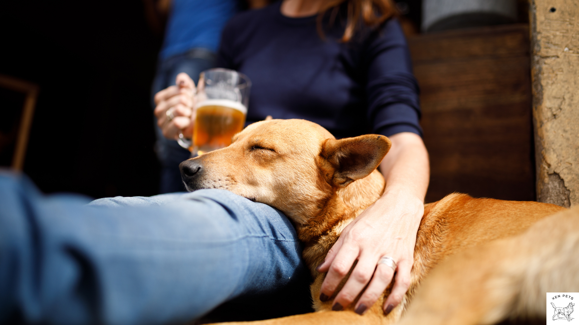 woman drinking rooibos tea with her dog