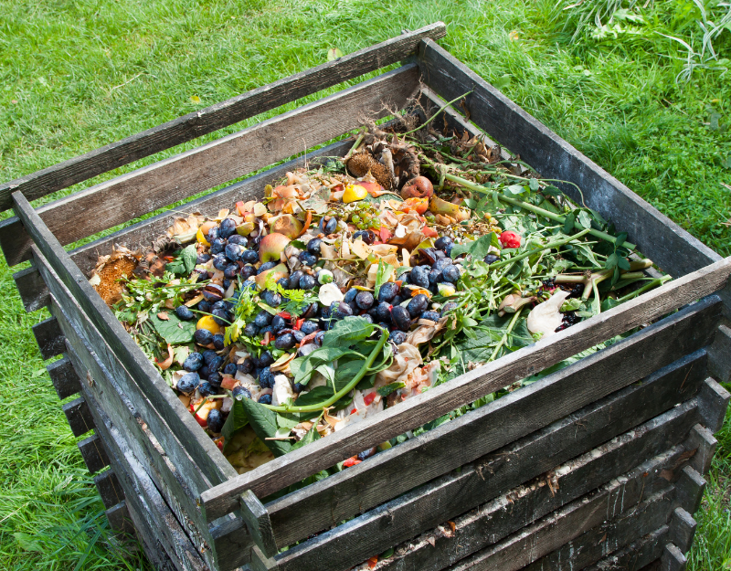 An image of a composting bin with food scraps and grass clippings