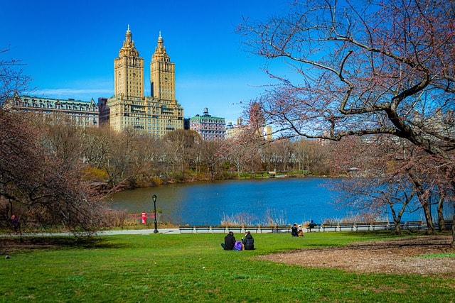 Central Park, New York