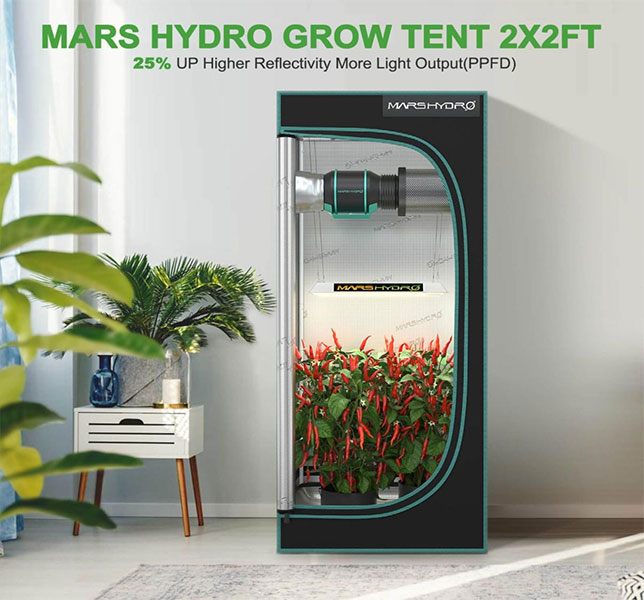 A Mars Hydro indoor grow tent standing proud
