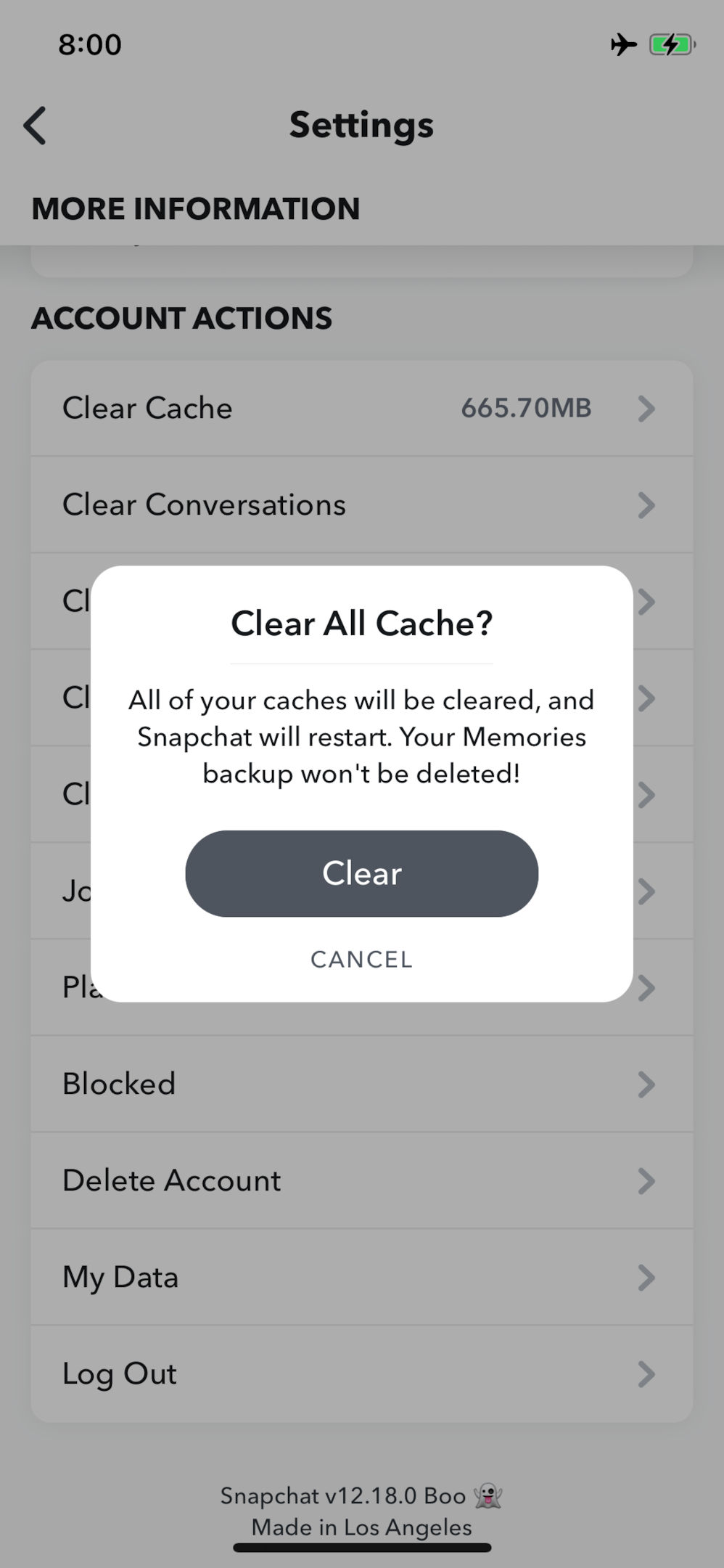 Screenshot of cache