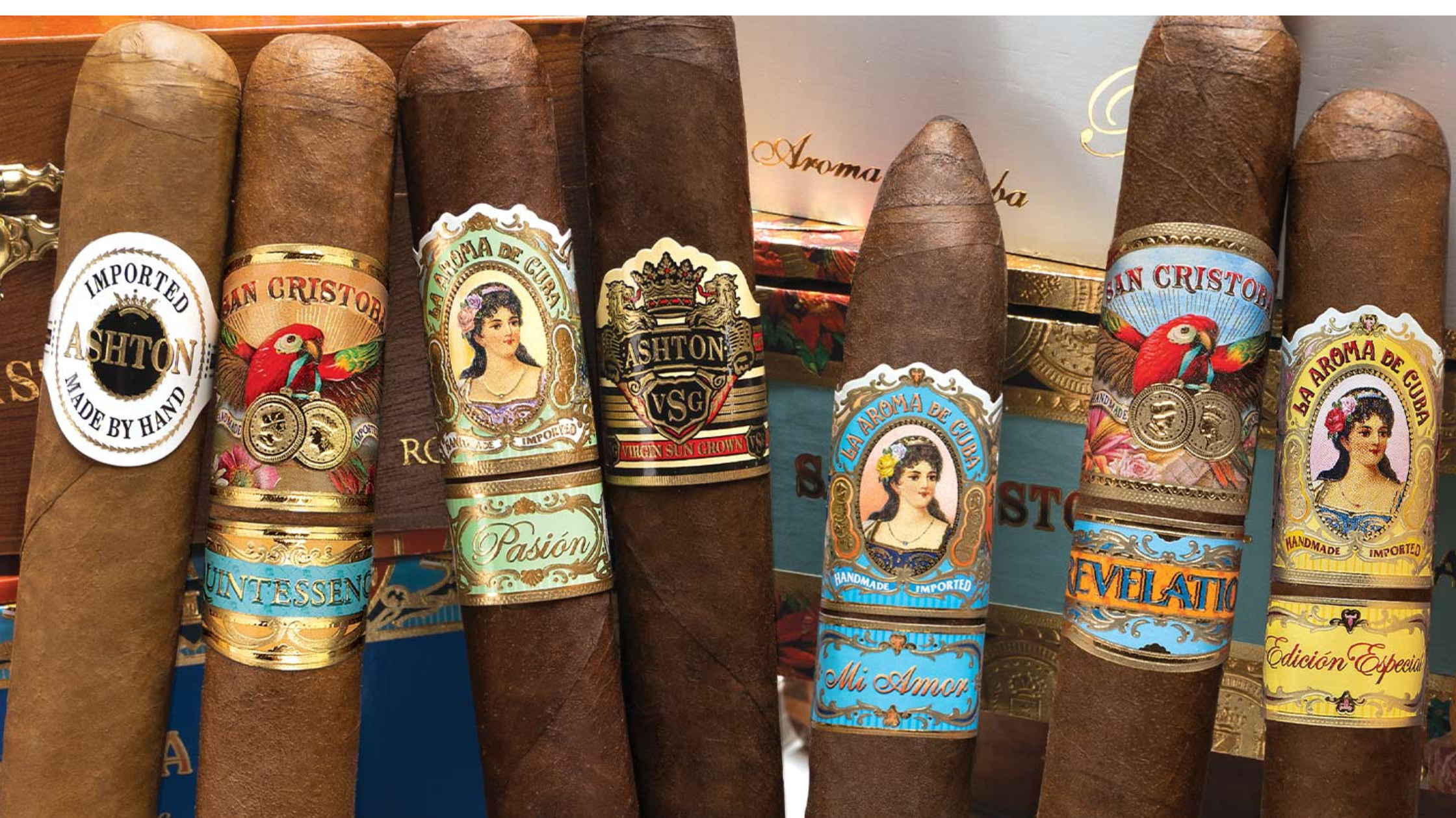 Brands Distributed by Ashton