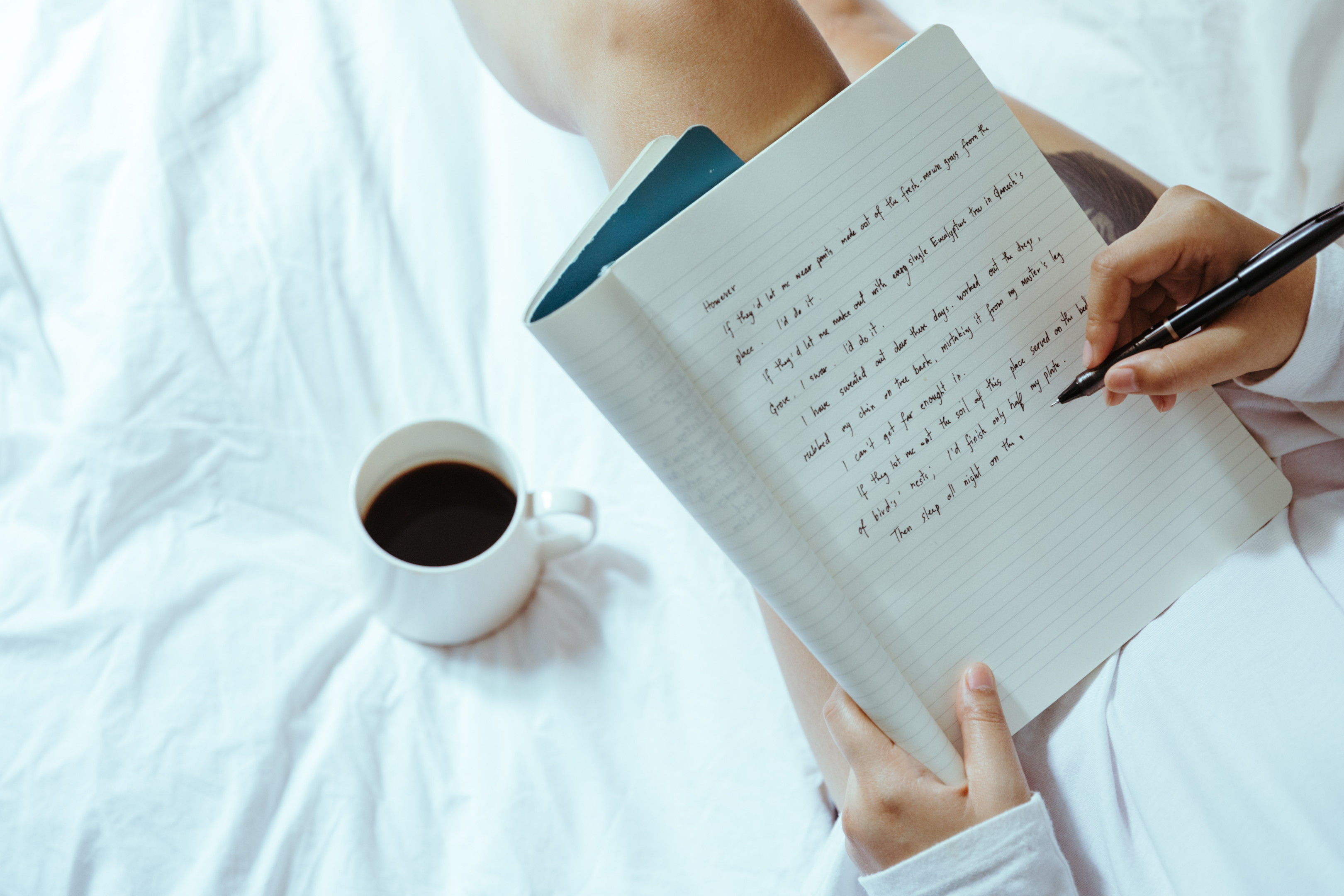 how to write a novel in a month
