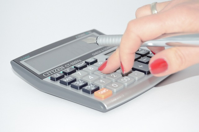 debt calculator, interest rate expense