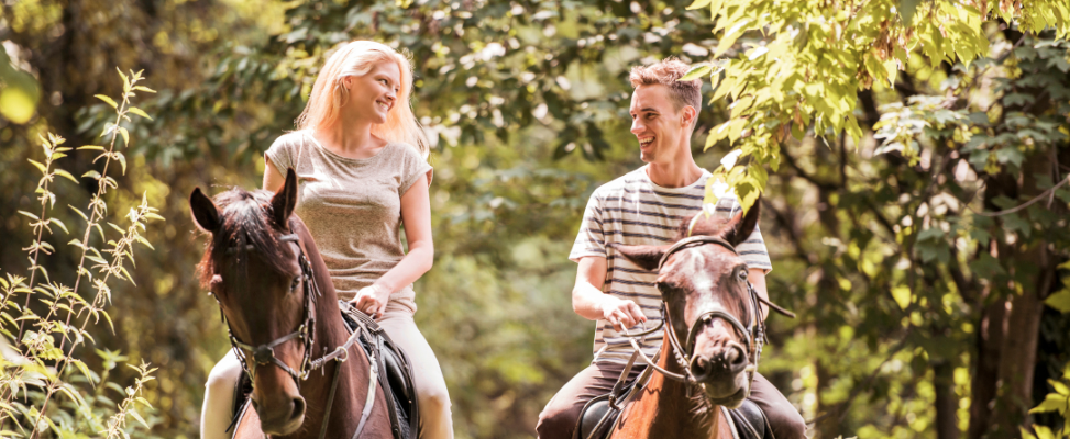 Horseback Riding Through Scenic Trails in Charlottesville