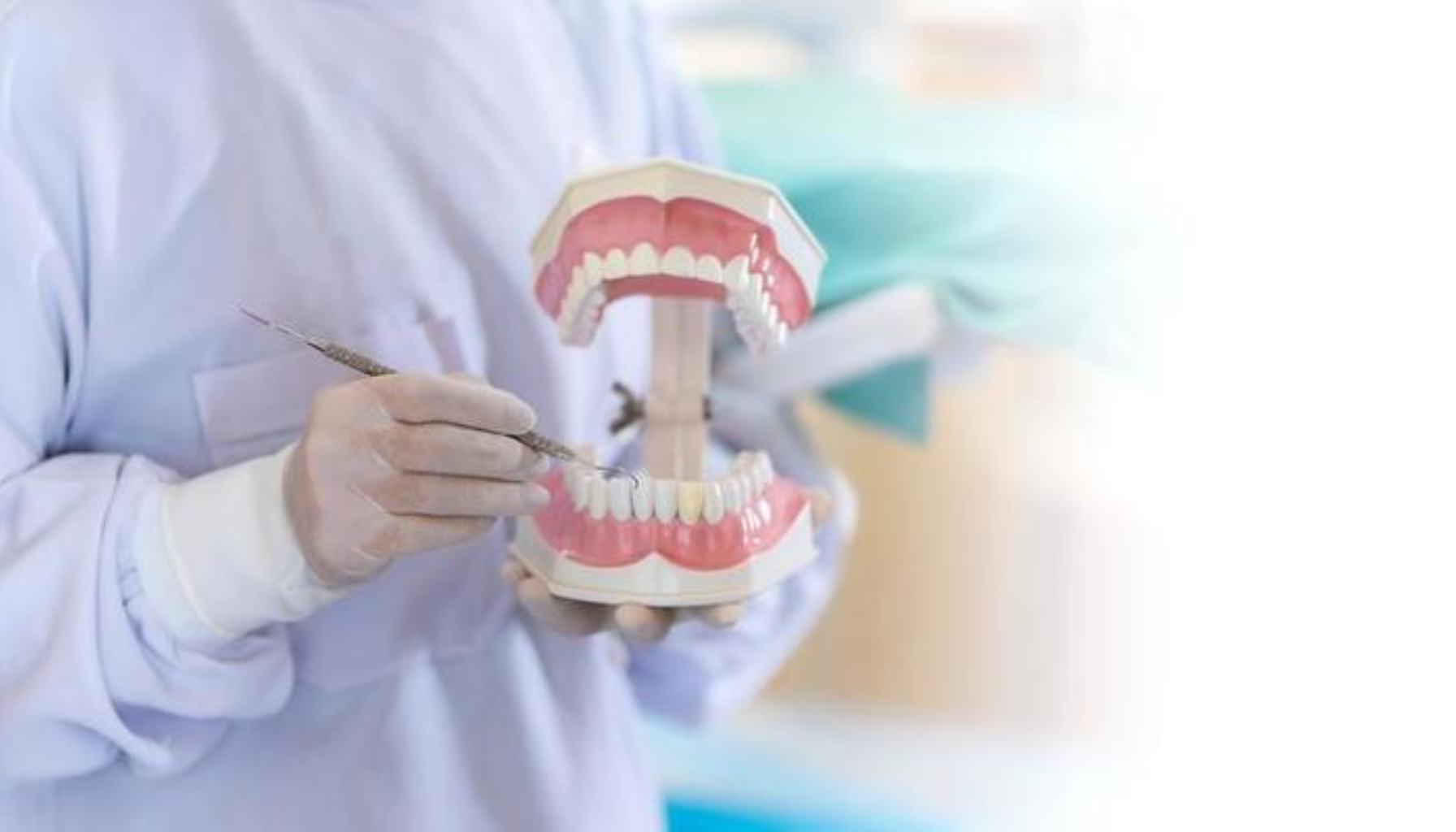 Tannhelsepersonell i klinikklær viser en anatomisk tannmodell og peker med instrument på tennene for opplæring eller demonstrasjon.