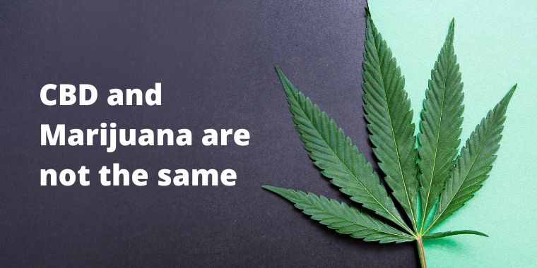 An image of a marijuana leaf with text reading: "CBD and Marijuana are not the same".