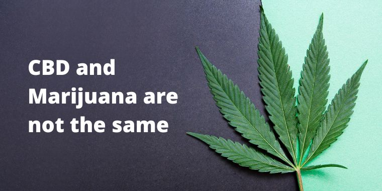 En bild av ett marijuanablad med texten: "CBD och Marijuana är inte samma sak".