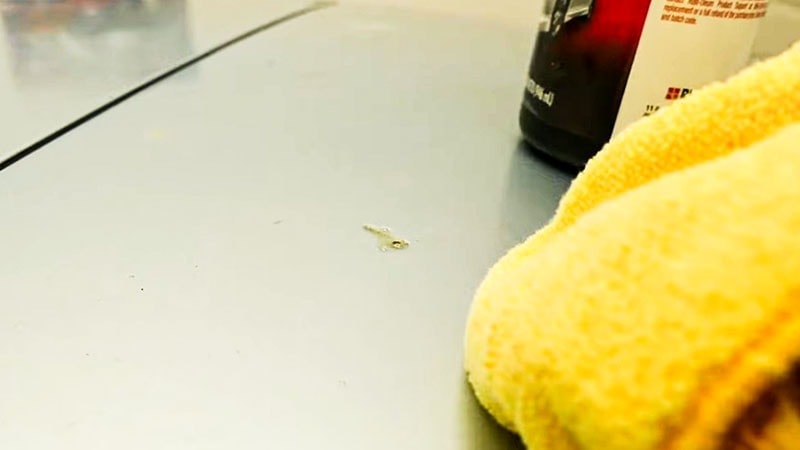 Tree sap on the silver car hood. From YouTuber Katie's Garage