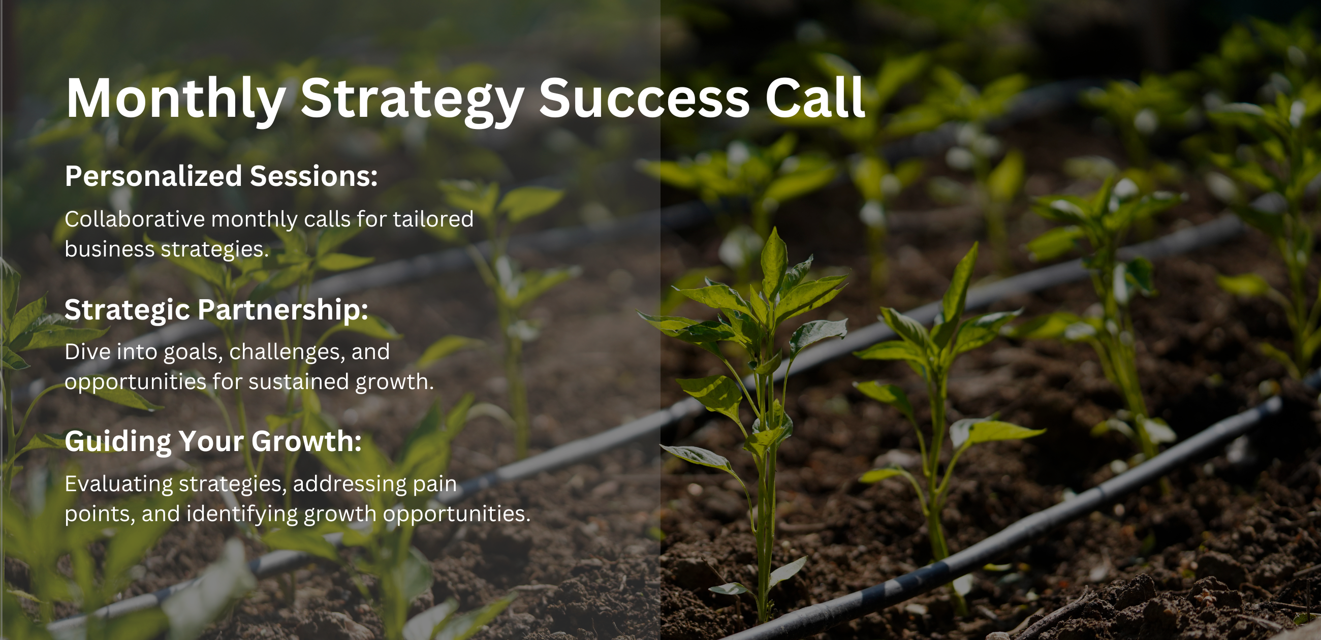 Monthly Strategy Success Call: Your Key to Sustainable Growth