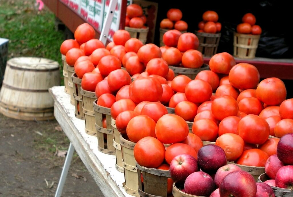 Esempio di cosa può offrire un fornitore a livello alimentare