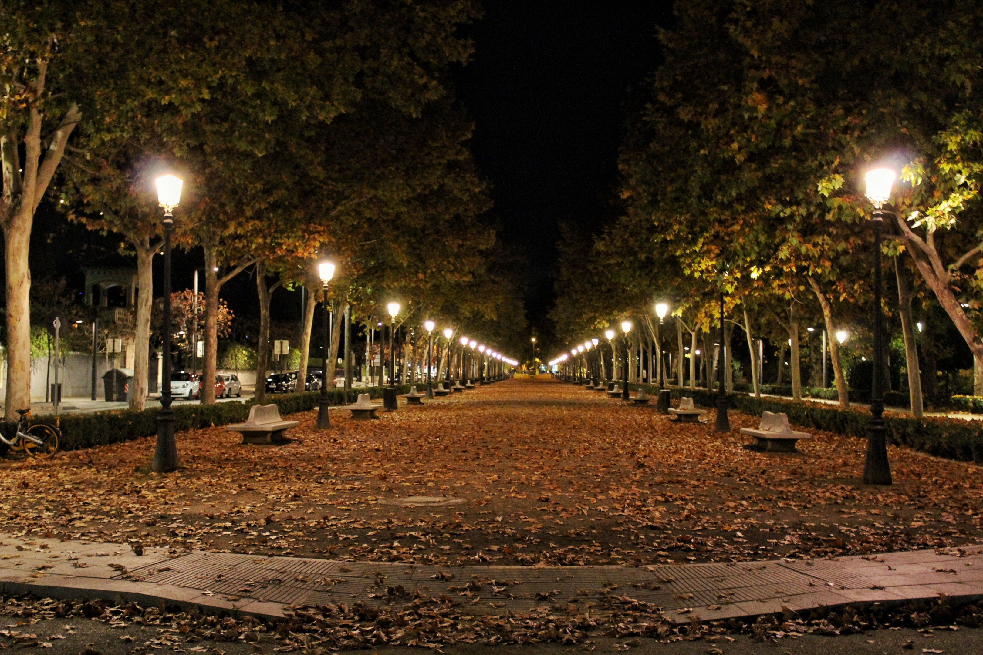 Downlighting Pathway - pexels-skitterphoto