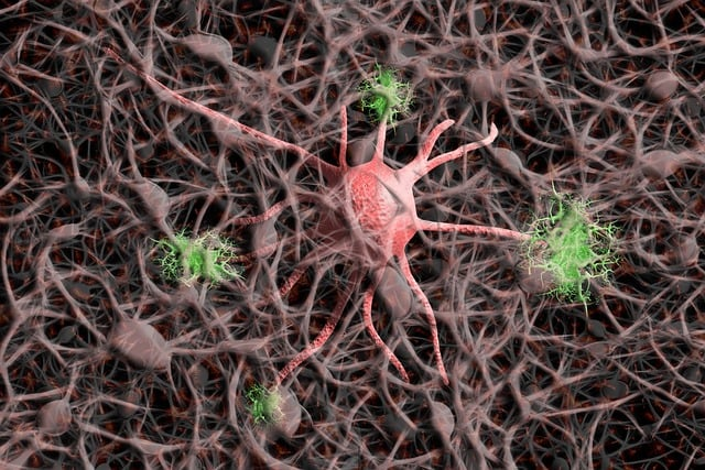 nerve cells, neurons, nervous system