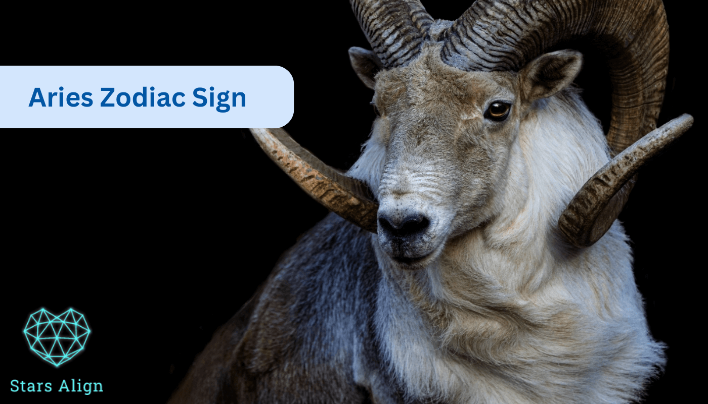 what is aries zodiac sign