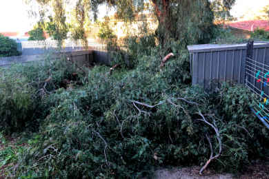 green waste type is just small branches, lawn clippings etc to save money