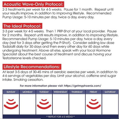 Protocol for using The Phoenix